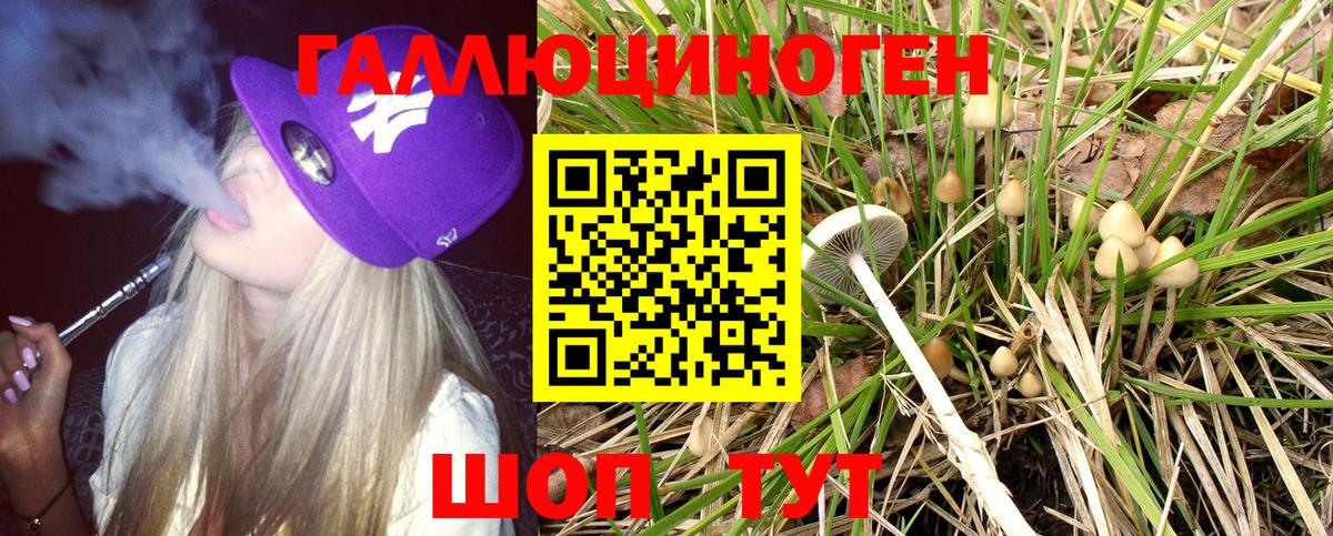 Камень-на-Оби  Галлюциногенные грибы Psilocybine cubensis  как найти закладки  Вход с VPN  Галлюциногенные грибы Cubensis 