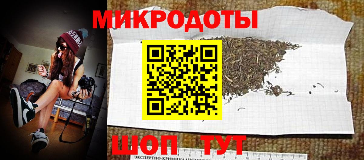 Псилоцибиновые грибы Cubensis Камень-на-Оби